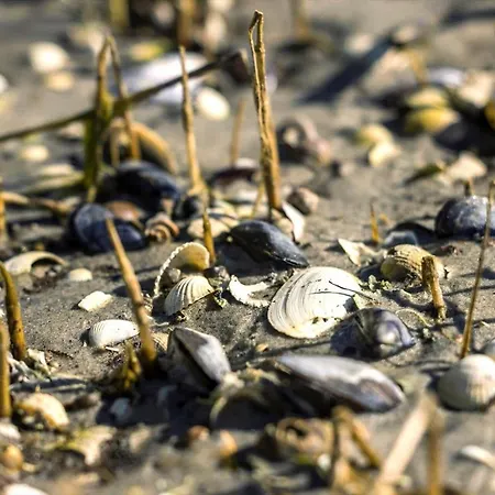 8963-orsted-spovevej-6 Ørsted