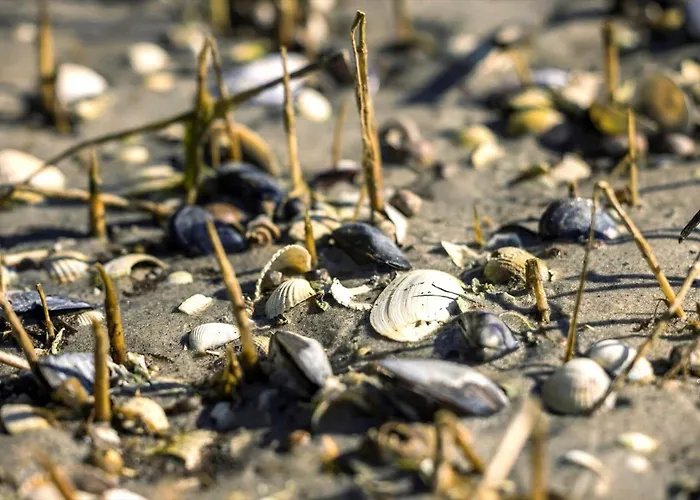 8963-orsted-spovevej-6 Orsted (Midtjylland)